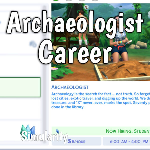 Archaeologist Career