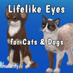 Lifelike Eyes for Cats & Dogs
