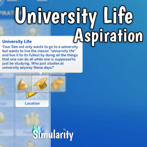 University Life Aspiration