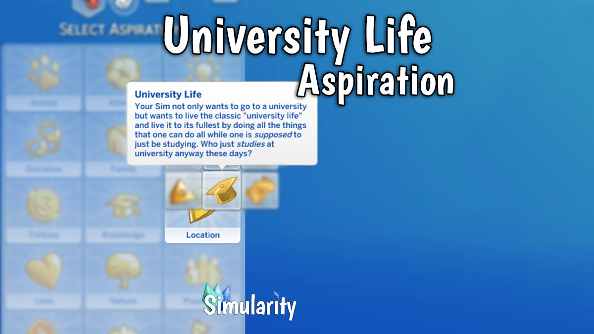 University Life Aspiration