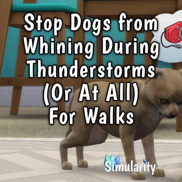 stop-dog-whining-during-thunderstorms