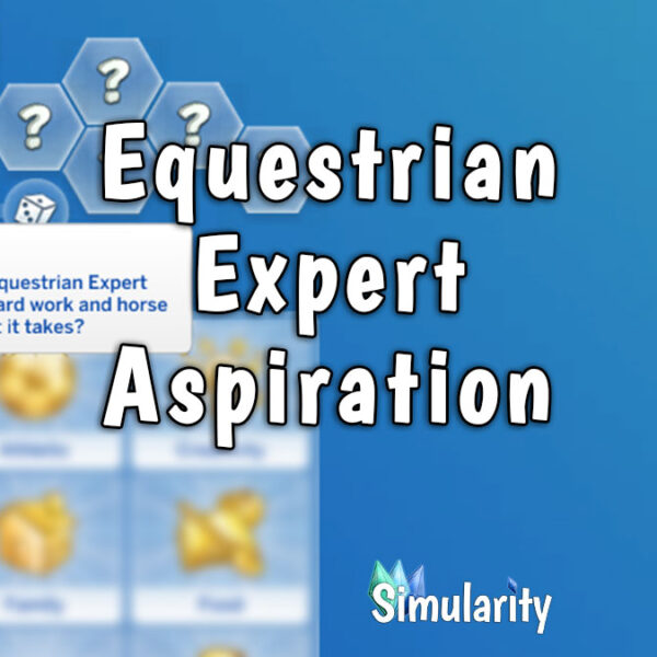 Equestrian Expert Aspiration