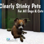 Clearly Stinky Pets