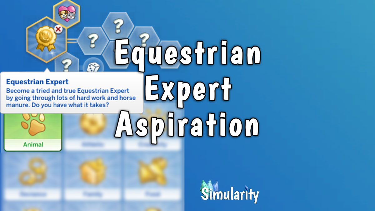 Equestrian Expert Aspiration