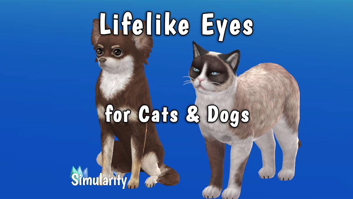 Lifelike Eyes for Cats & Dogs