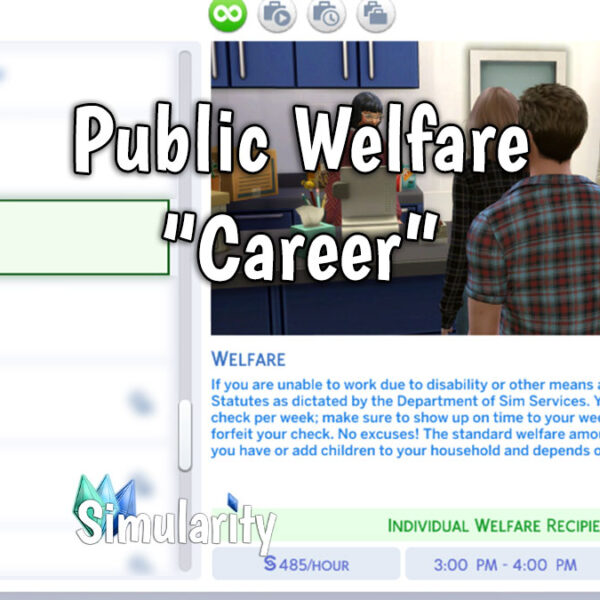 Public Welfare Career