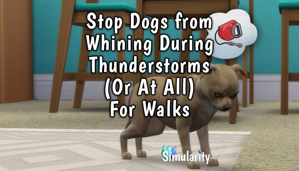 Stop Dogs from Whining Thunderstorm