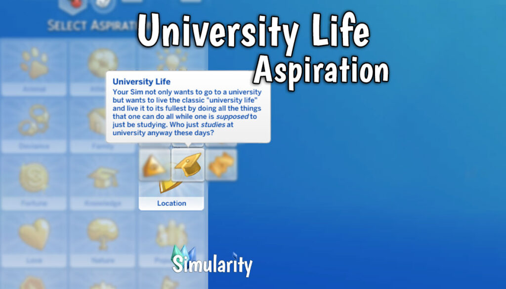 University Life Aspiration